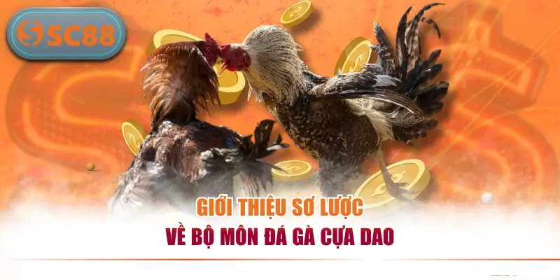 Giới thiệu sơ lược về bộ môn đá gà cựa dao