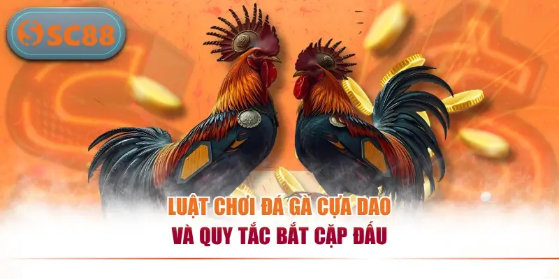 Luật chơi đá gà cựa dao và quy tắc bắt cặp đấu